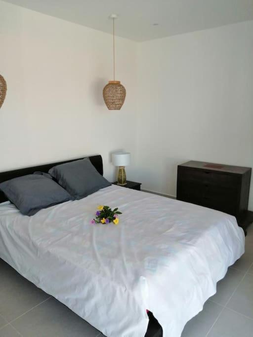 Residence Canne Mapou 2 1 Chambre Saint Pierre Eksteriør billede