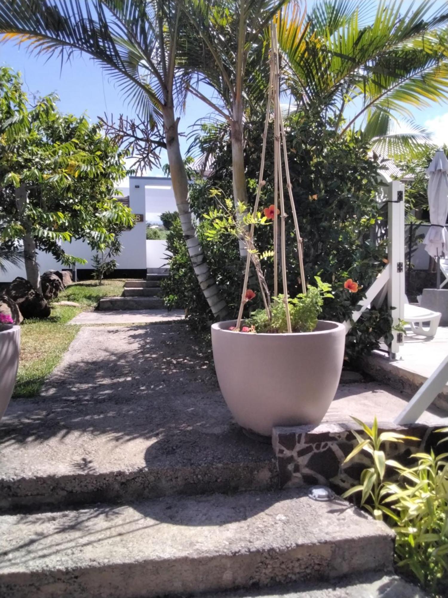 Residence Canne Mapou 2 1 Chambre Saint Pierre Værelse billede
